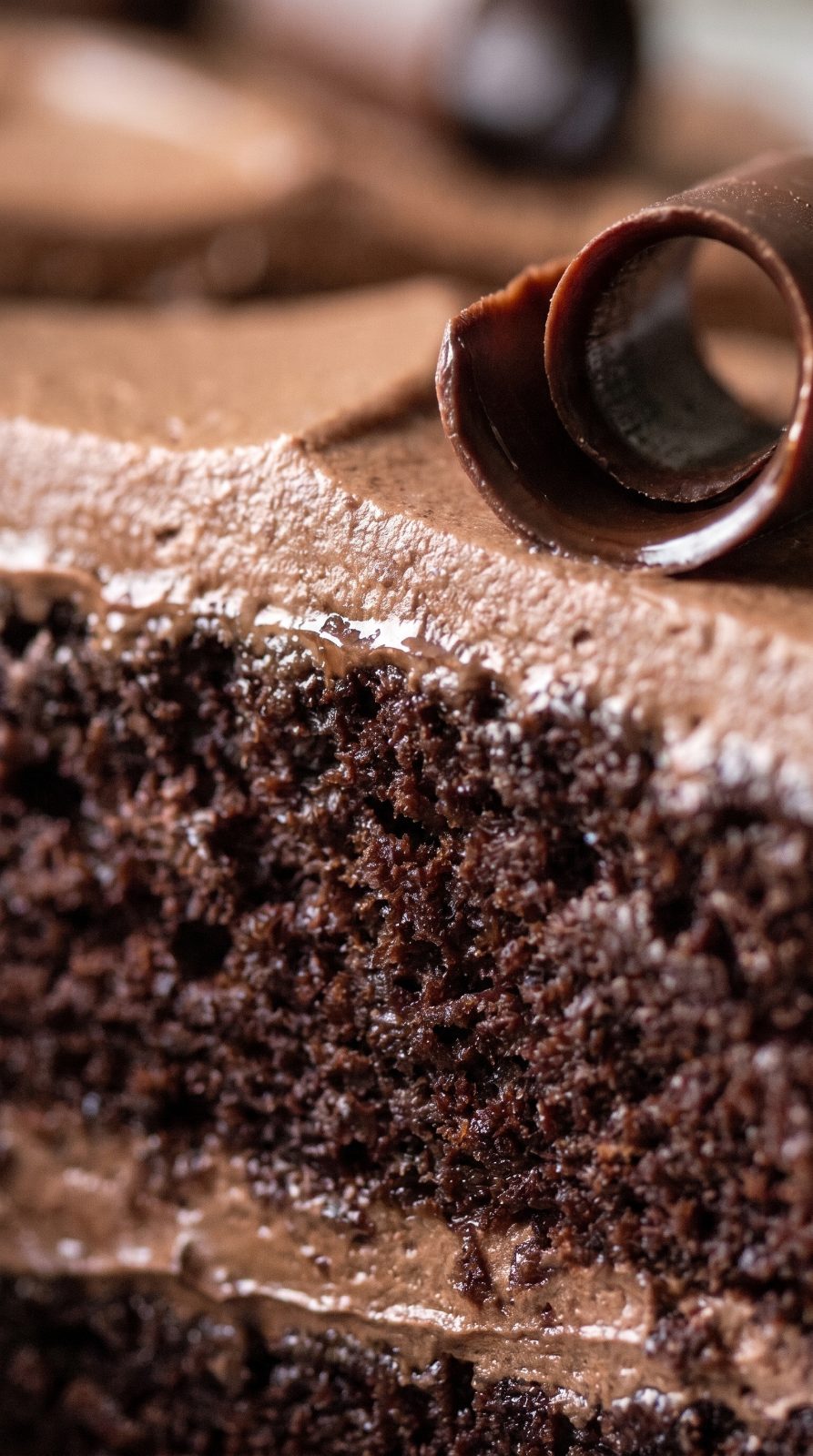 Mocha Chocolate Cake